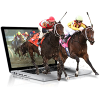 Horse Racing