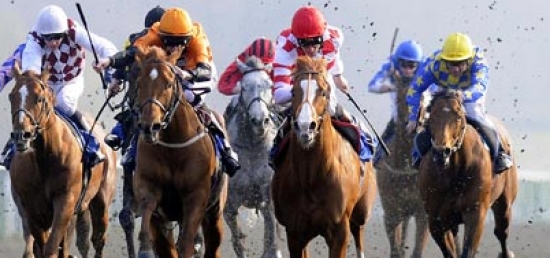 Bet on the Phoenix Gold Cup