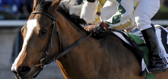 Cathryn Sophia Faces Stiff Class Test in $200,000 Forward Gal Stakes