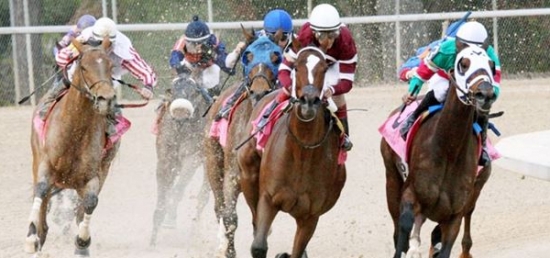 Champion Untapable Trying  for $600,000 Apple Blossom Stakes Repeat