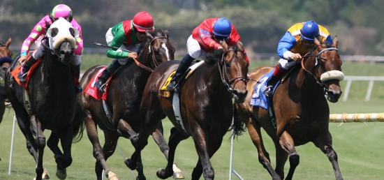 Dacita (CHI) Tops Loaded Trio for Chad Brown in $150,000 The Very One Stakes