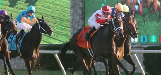 Eden Prairie Seeks Repeat Performance in $60,000 Blushing K.D. Stakes