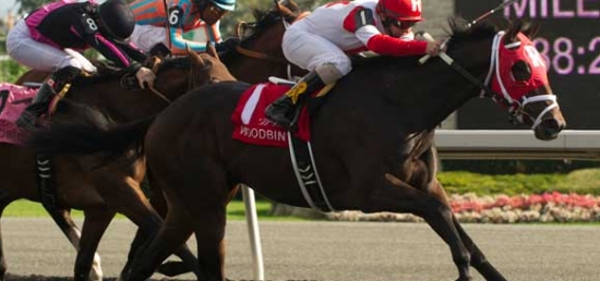 International Star Facing Only Four Rivals in $125,000 Mineshaft Handicap