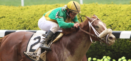 Ocean Knight Trying to Make Waves in $150,000 Discovery Handicap