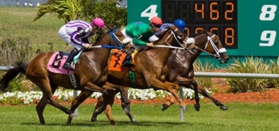 Contentious Field of Fourteen Fillies Set for $200,000 Florida Oaks