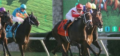 Eden Prairie Seeks Repeat Performance in $60,000 Blushing K.D. Stakes