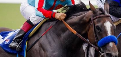 Eight Fillies Set to Battle in Grade 2 Fair Grounds Oaks