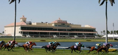 Favorite Could be Vulnerable in Grade 2 Mac Diarmida